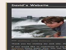Tablet Screenshot of davidteplitz.com